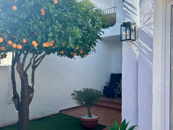 Chalet adosado en Calle Alcaucín, 3 - Foto 15