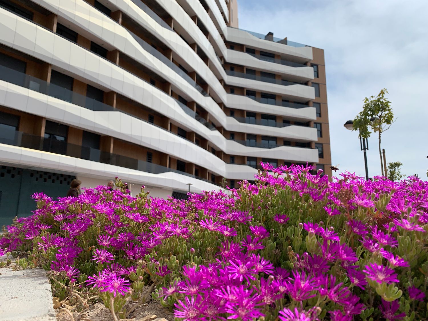 Piso en avenida Academia de Infantería, 28