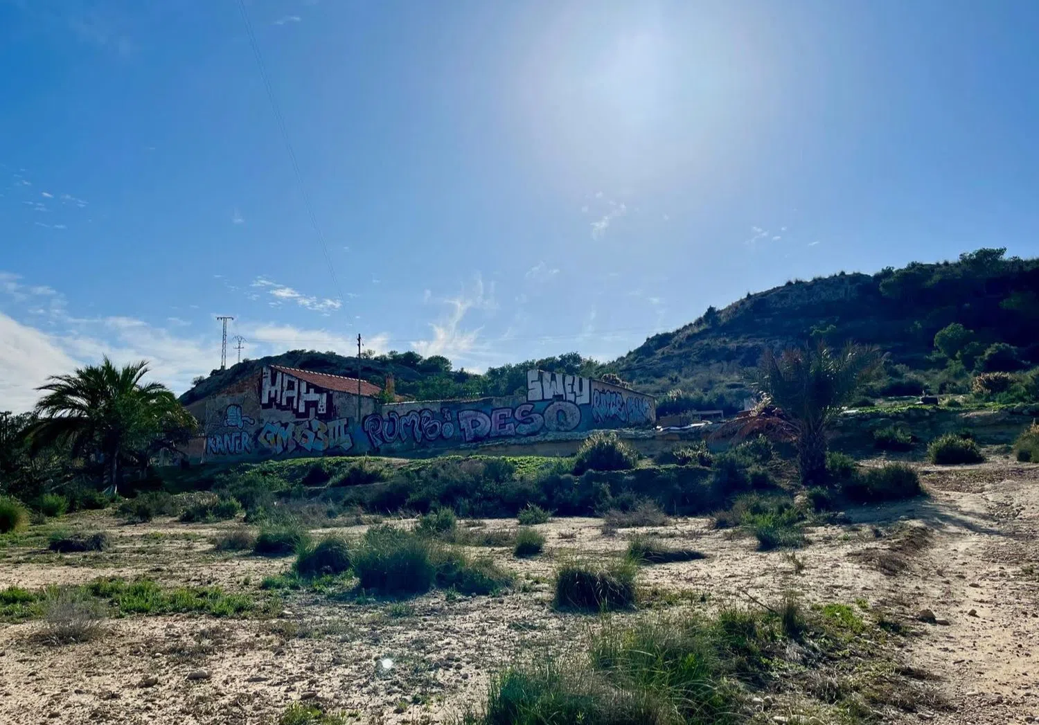 Finca rústica en camino Viejo de Saladas, 2 - Foto 6