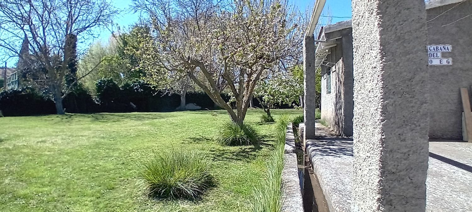 Finca rústica en Extramuros s/n - Foto 7