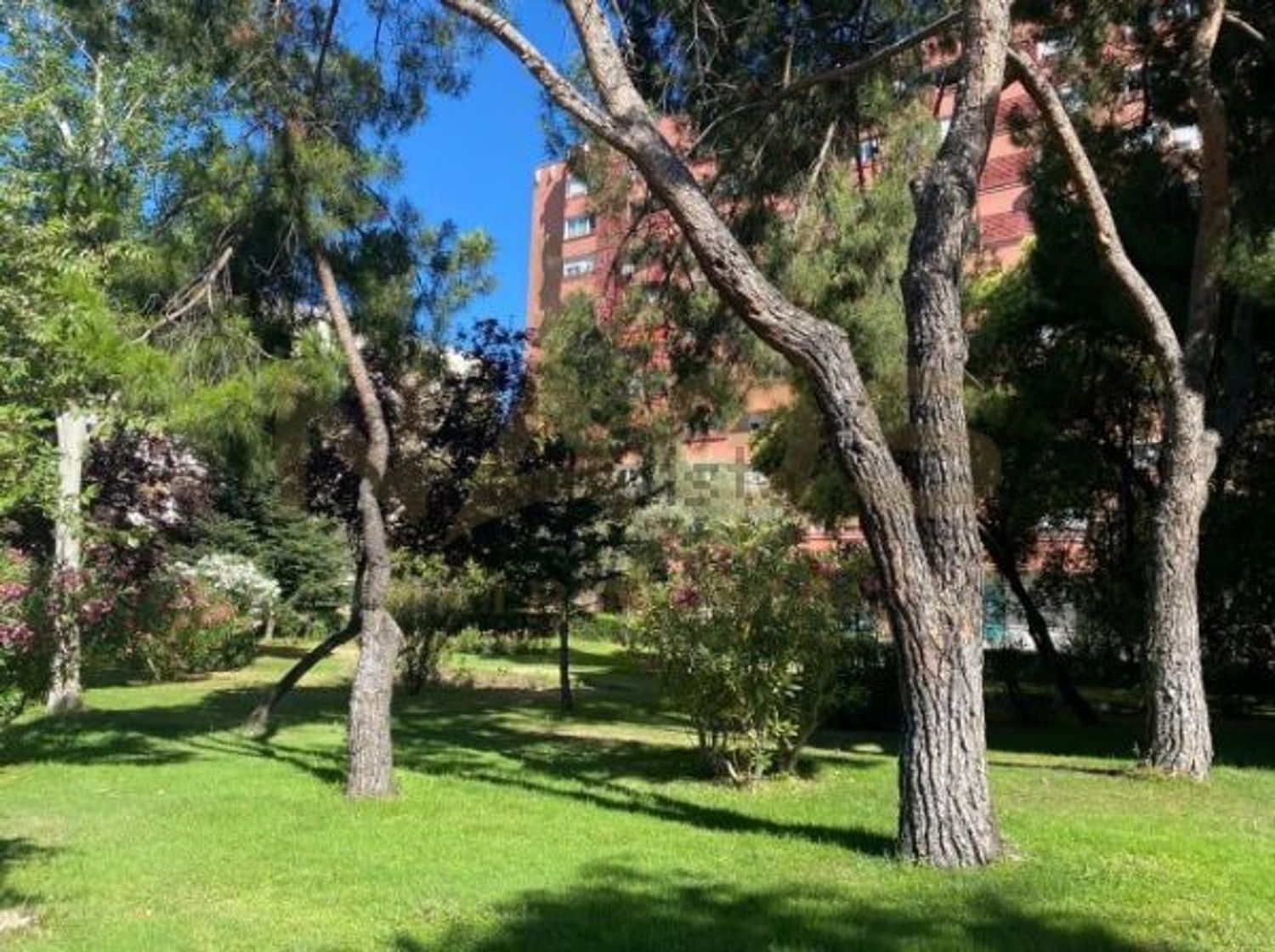 Estudio en calle de Torrelaguna, 106 - Foto 7