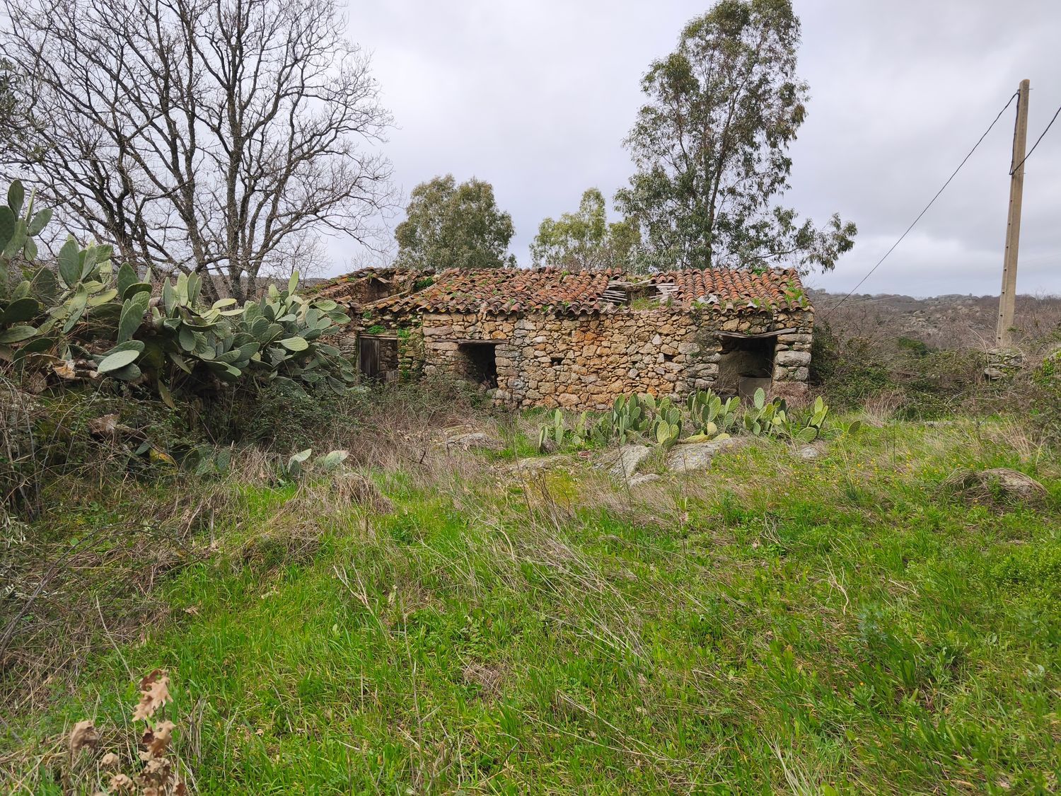 Finca rústica en Poblado los Arroyos de Abajo, 39 poligonoparcela - Foto 6