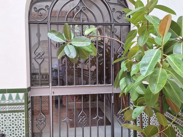 Piso en Calle Muñoz Capilla, 1, Casco Histórico - Ollerías - Marrubial - Foto 12