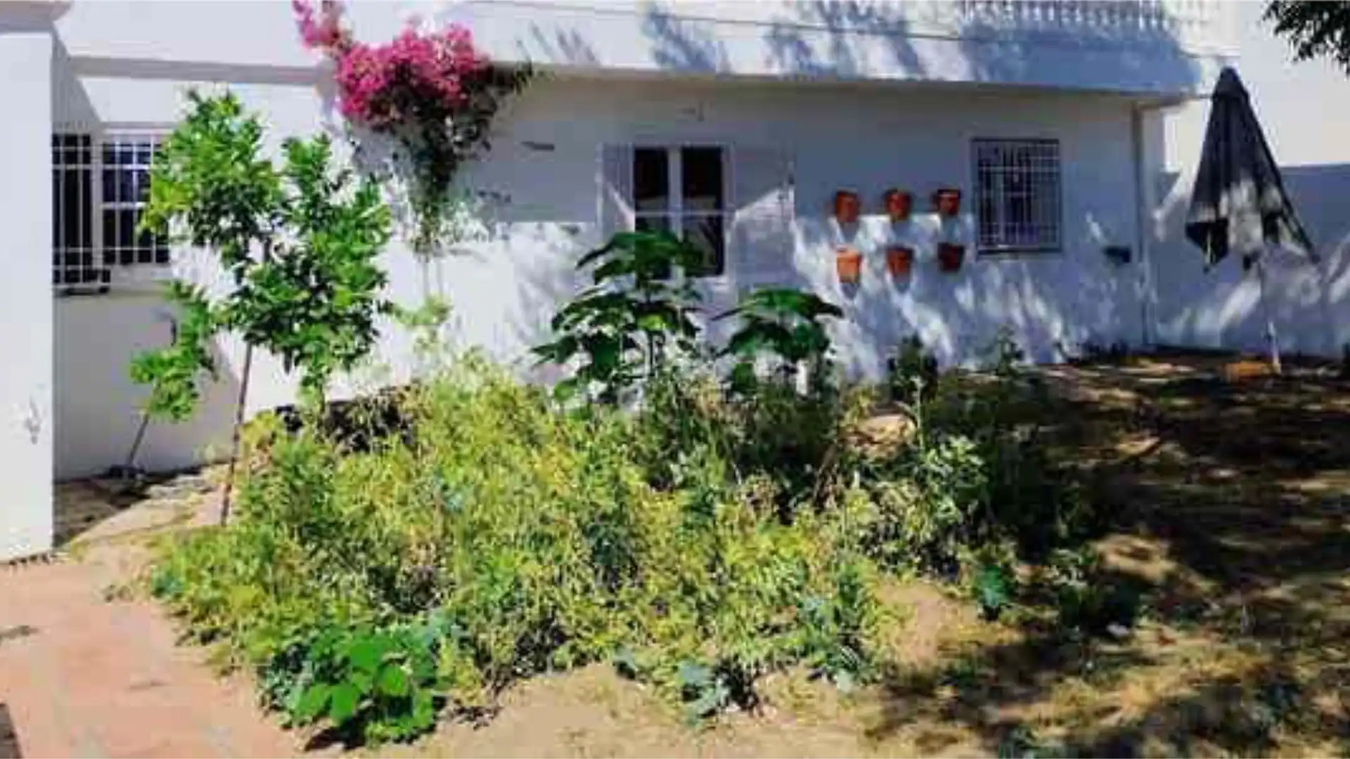 Chalet en Casa en alquiler Urb. LOMA LINDA - Foto 2