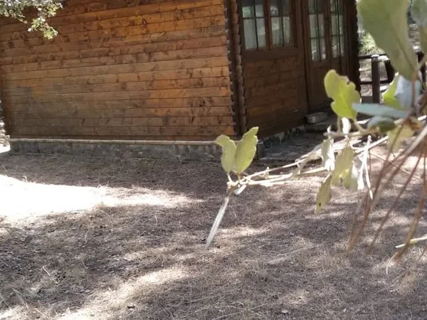 Casa rural en Via Sin Nombre s/n - Foto 5