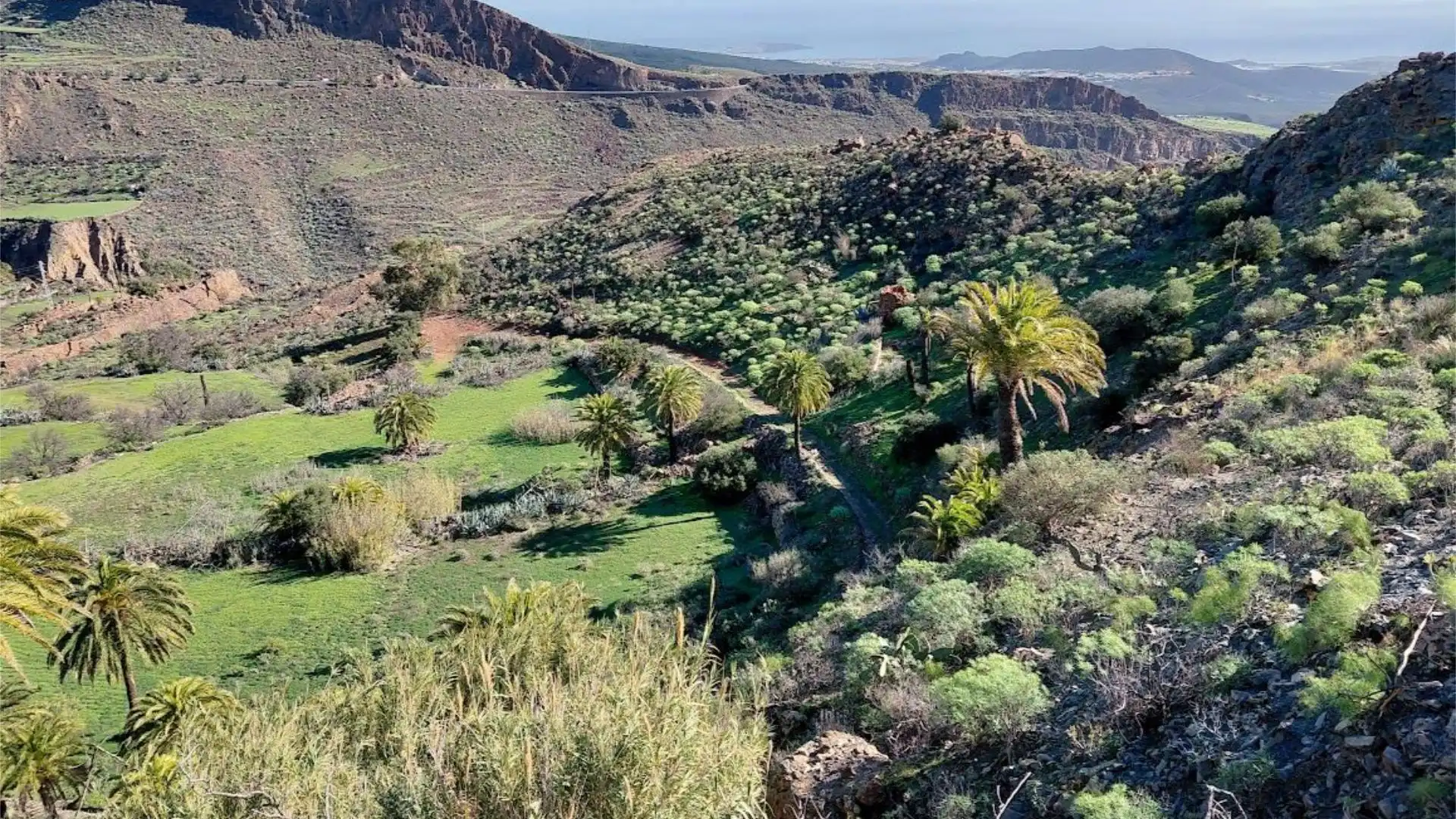 Finca rústica en calle Calle Espíritu Santo 15 - Foto 42