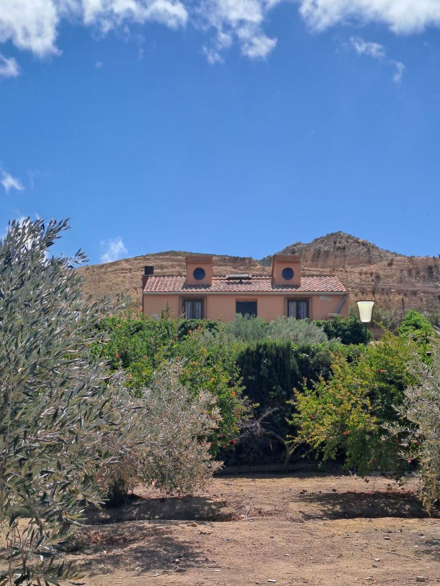 Finca rústica en camino Fuente la Junquera s/n - Foto 2