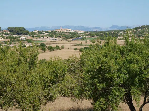 Finca rústica en Carretera Montuïri - Lloret s/n - Foto 26
