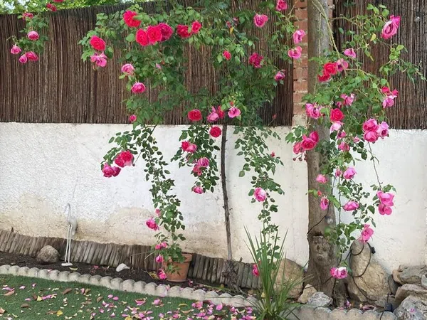 Chalet adosado en Perales del Rio, Perales del Rio - Foto 11