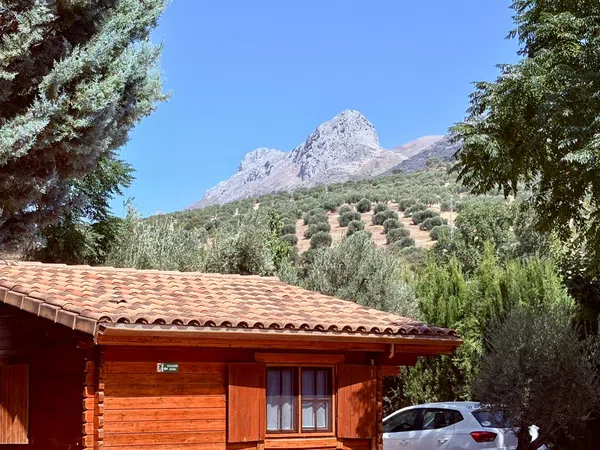 Casa rural en Camino de Albarrate, 216, El Torreón - Cortijo Pretel - Foto 12