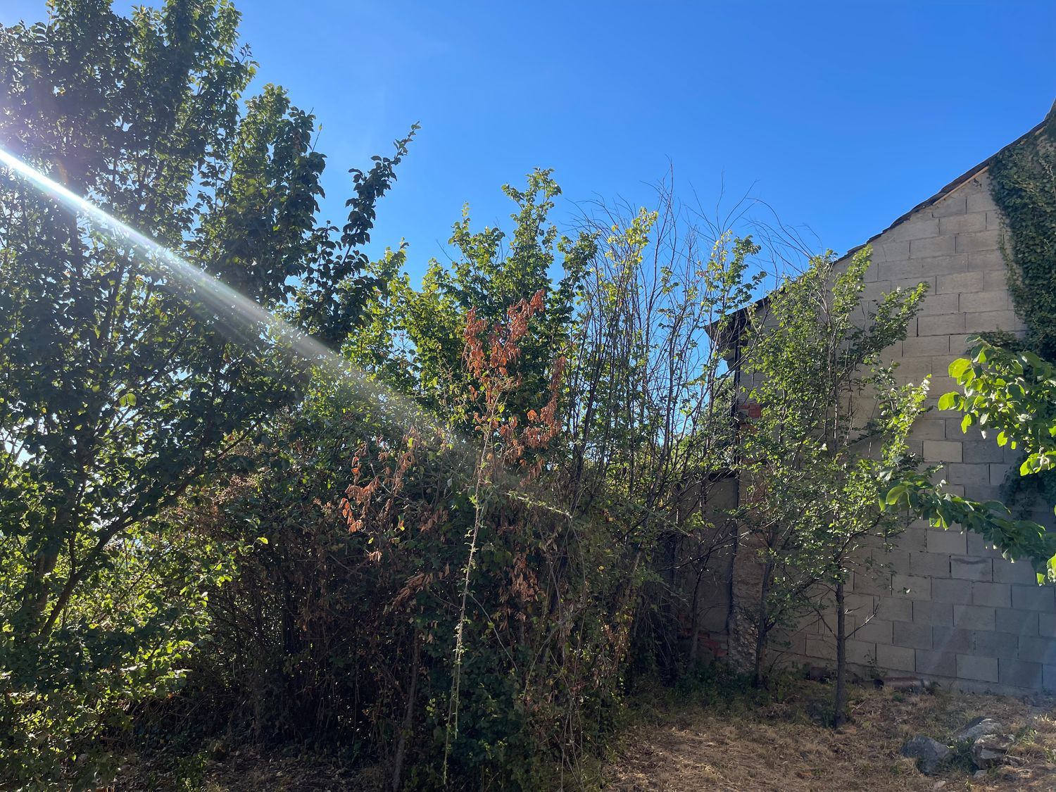 Casa de pueblo en San Pedro Castañero, 116 - Foto 7