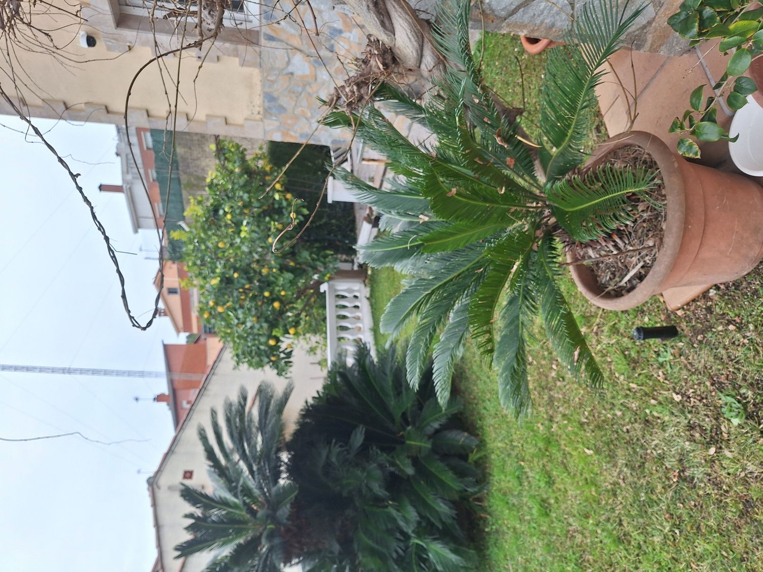 Casa o chalet independiente en Calle d'Oceania, 93 - Foto 4