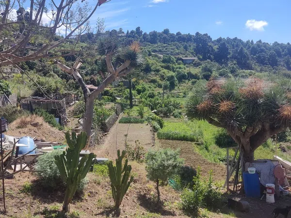 Finca rústica en Buen Paso s/n, Buen Paso-La Mancha, Buen Paso-La Mancha - Foto 18