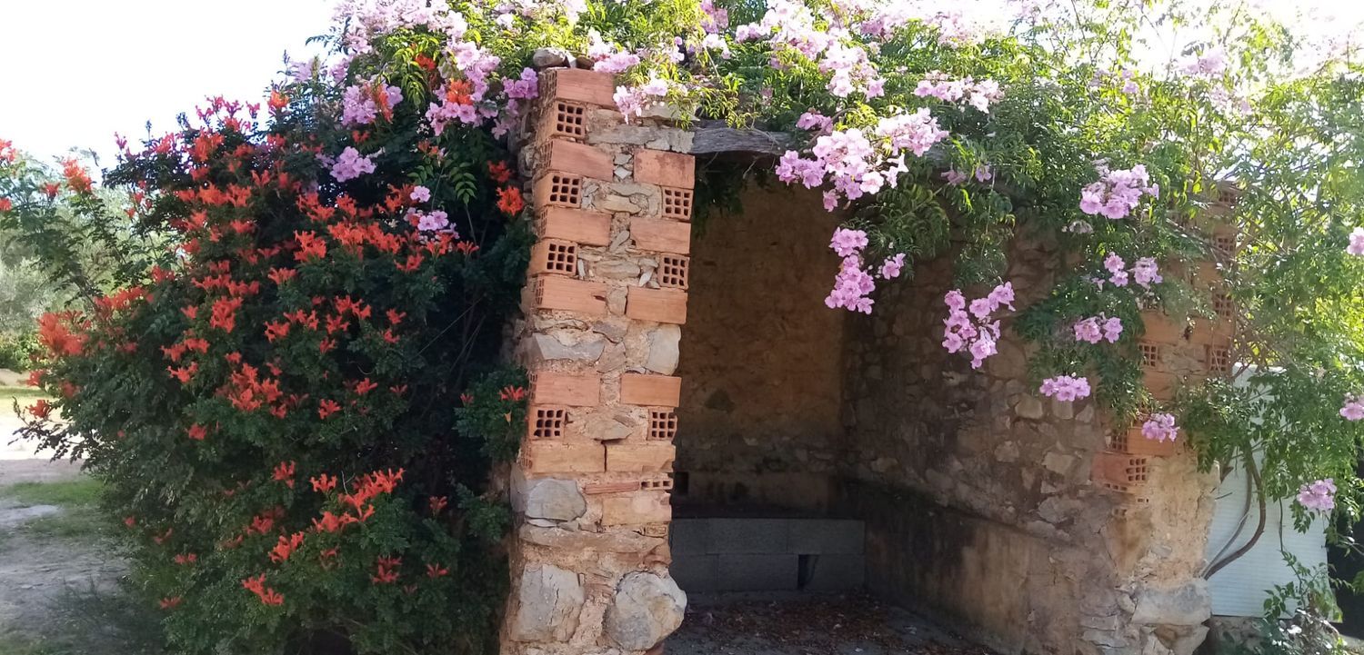 Finca rústica en Carretera de Vilafamés a Costur, 3 kilometro - Foto 4