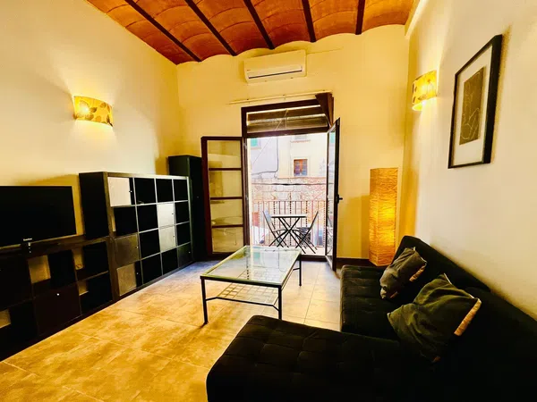 Estudio en Plaza de Santiago Rossinyol, 3, Part Alta, Part Alta - Foto 9