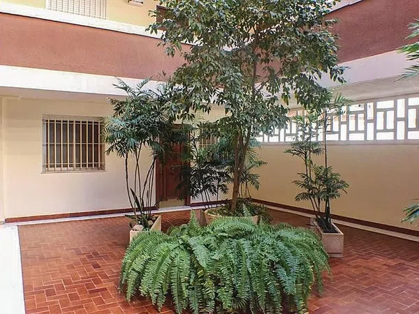 Piso en Avenida Oscar Espla, 11 - Foto 14