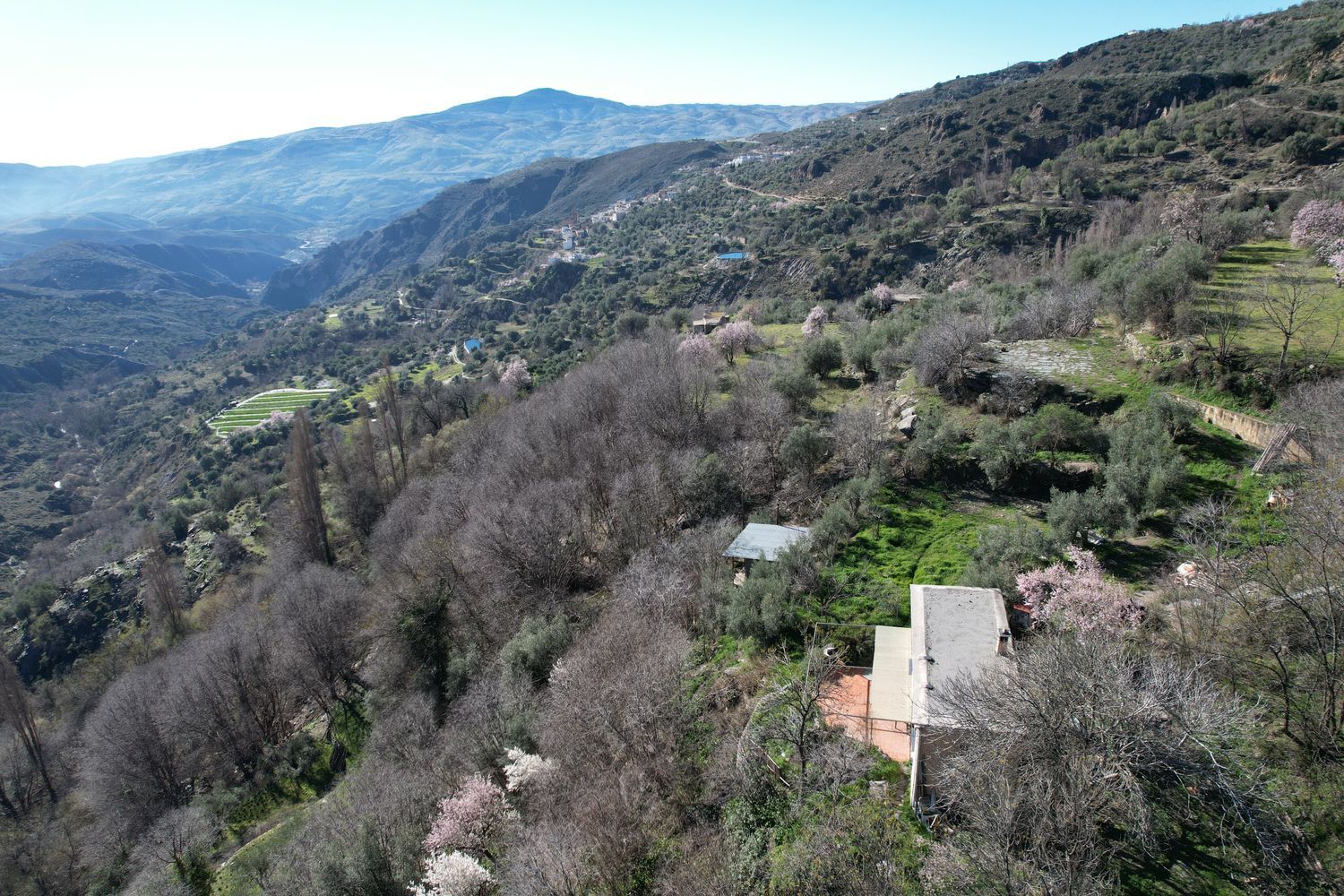 Cortijo en Calle San Pedro, 13 - Foto 4