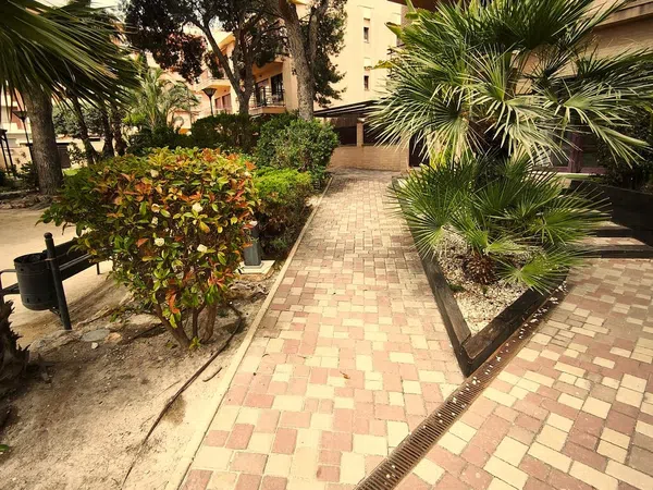 Piso en Calle del Pintor Manuel Baeza Gómez, 40, Centro, San Juan de Alicante - Foto 27