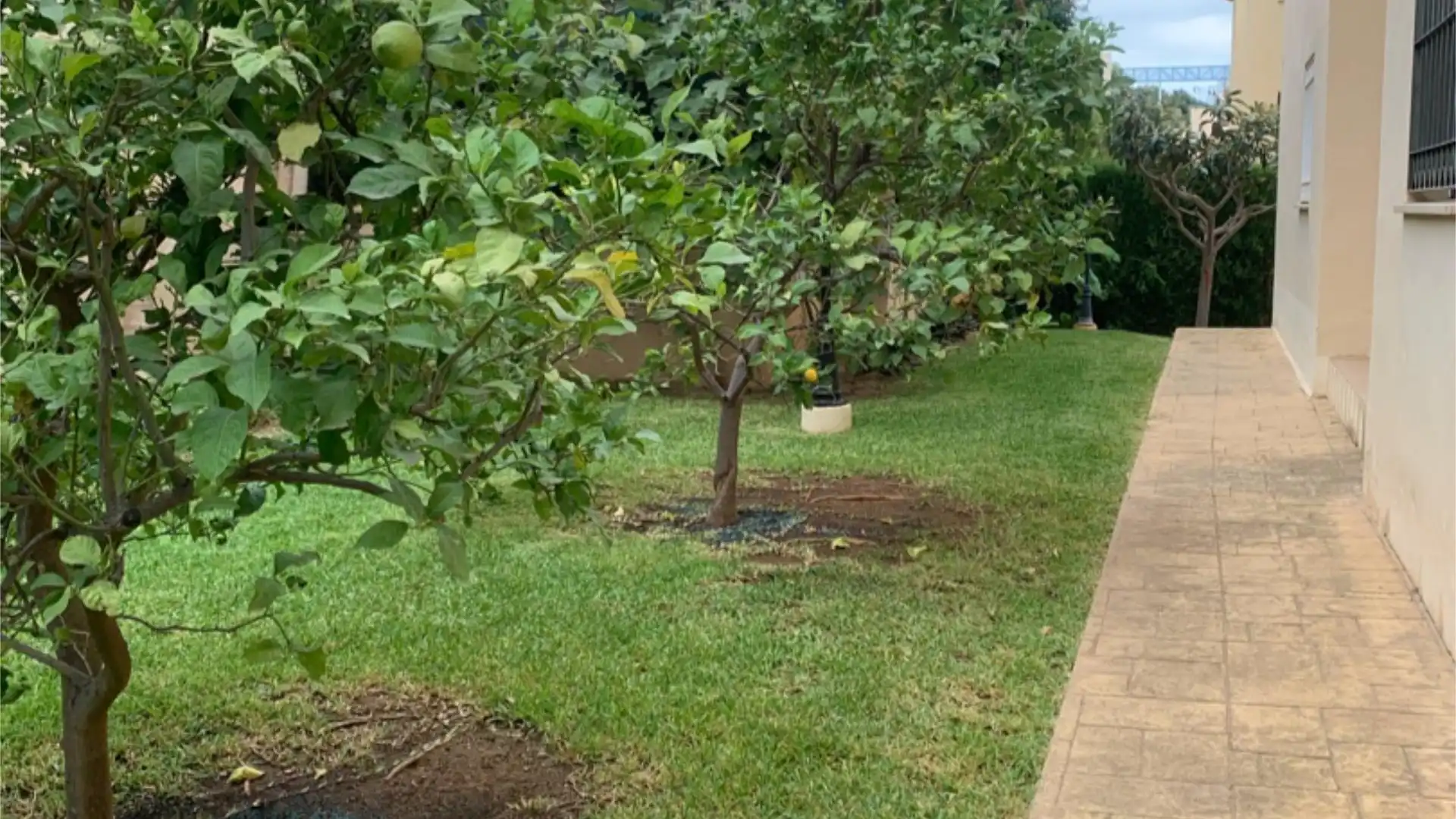 Piso en  Avenida Carlota Alessandri 170 - Foto 22