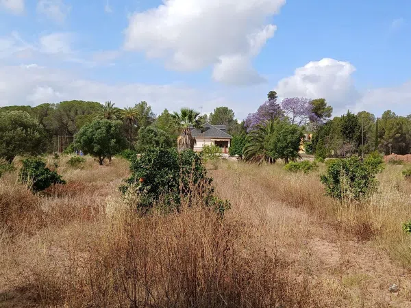 Casa o chalet independiente en Calle Venezuela, 2, Los Pinares-La Masía, Los Pinares-La Masía - Foto 16