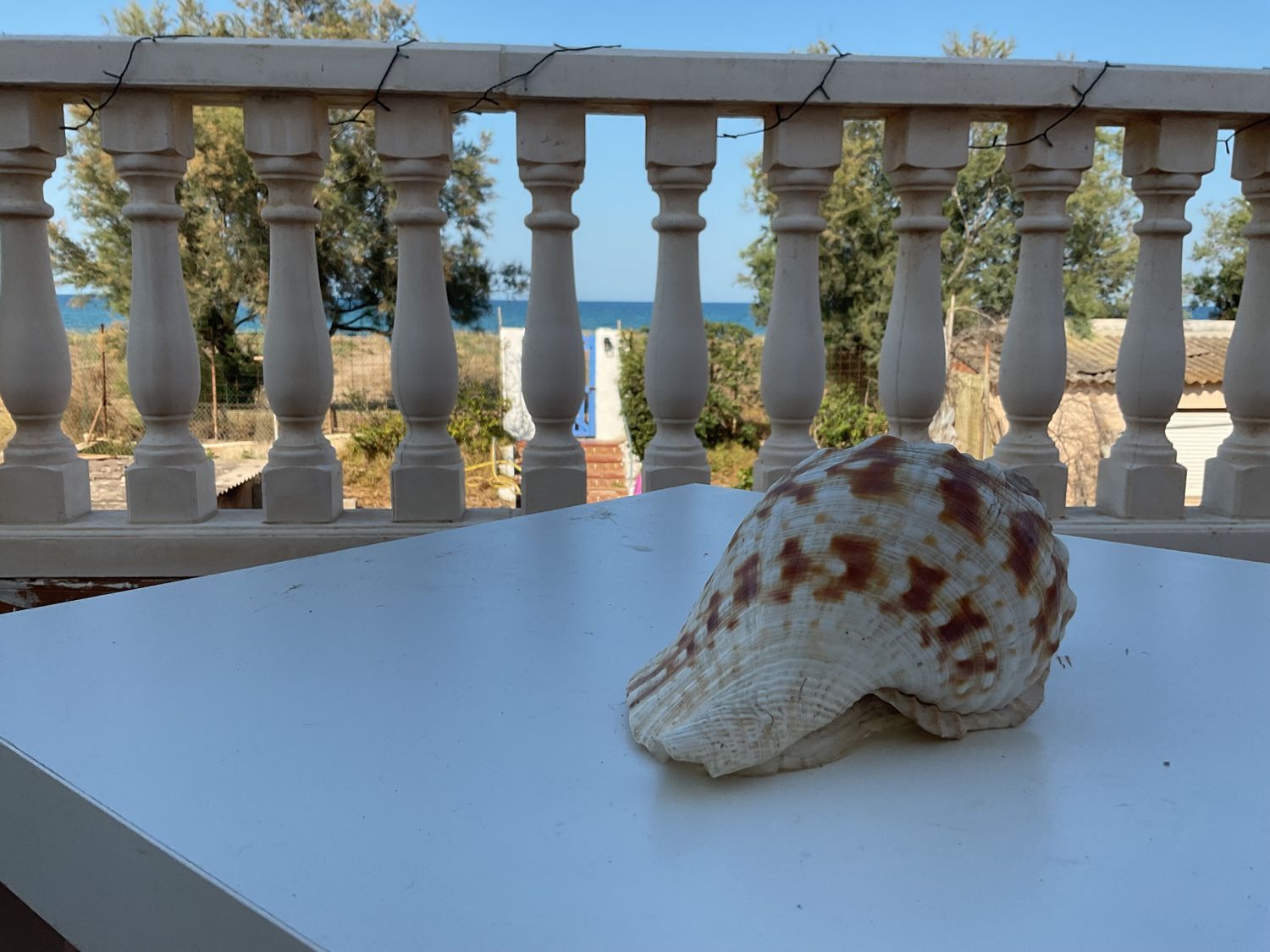 Casa independiente en plaza Marenys Sector 2-b, 523 C - Foto 9