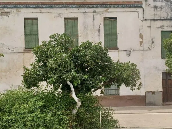 Casa de pueblo en Calle Juan Carlos I, 86 - Foto 6