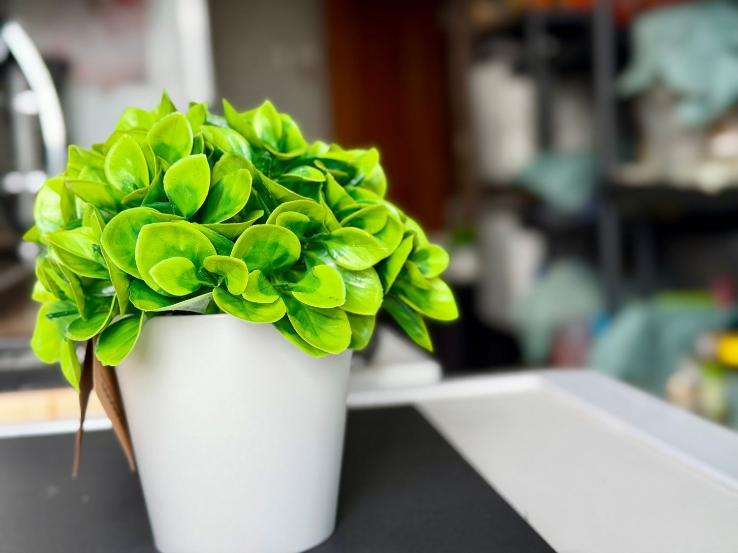 Piso en Barrio Zona Pueblo - Foto 21