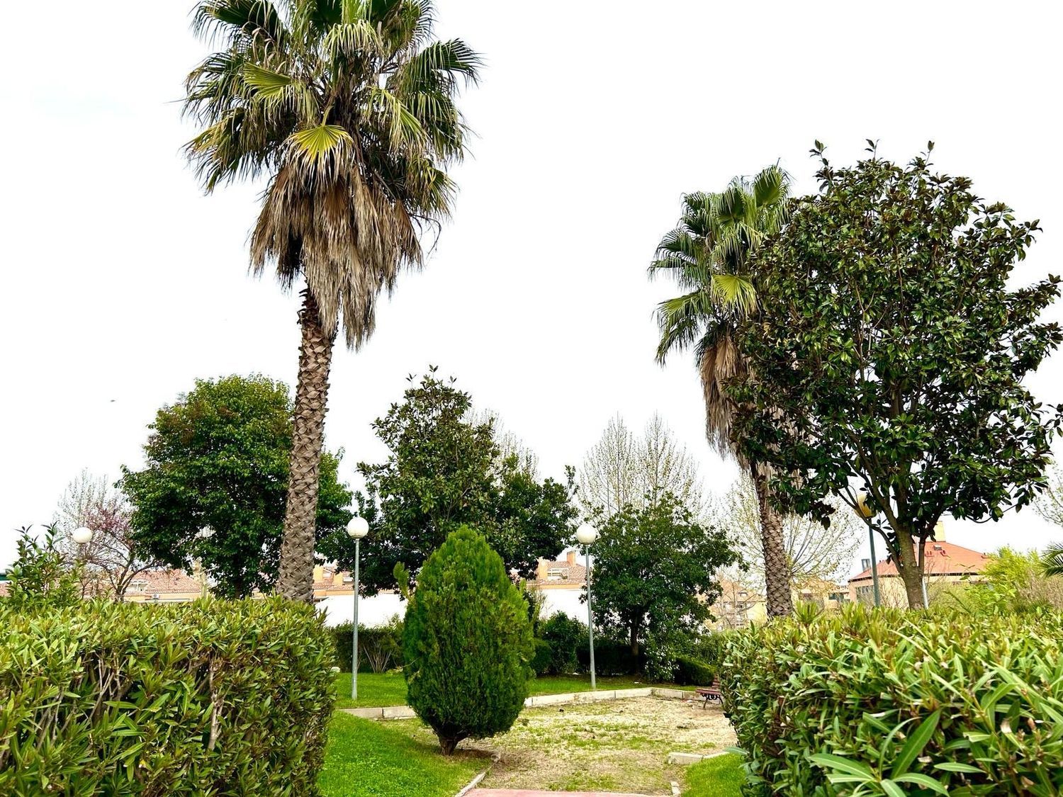 Piso en Calle Jacinto Benavente, 3, Sector b - Foto 30