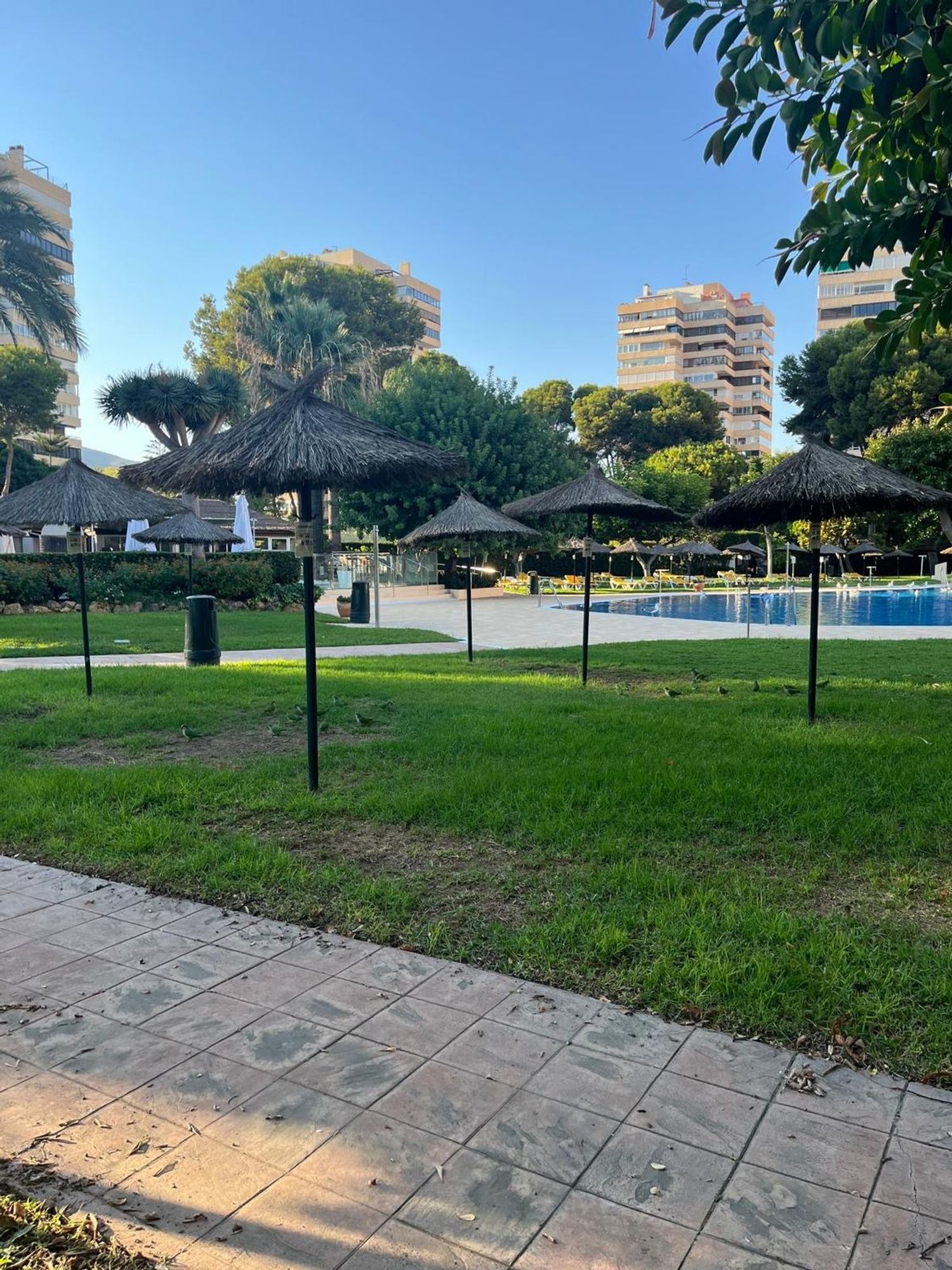 Piso en Avenida de Playamar, 70, Playamar - Benyamina - Foto 35