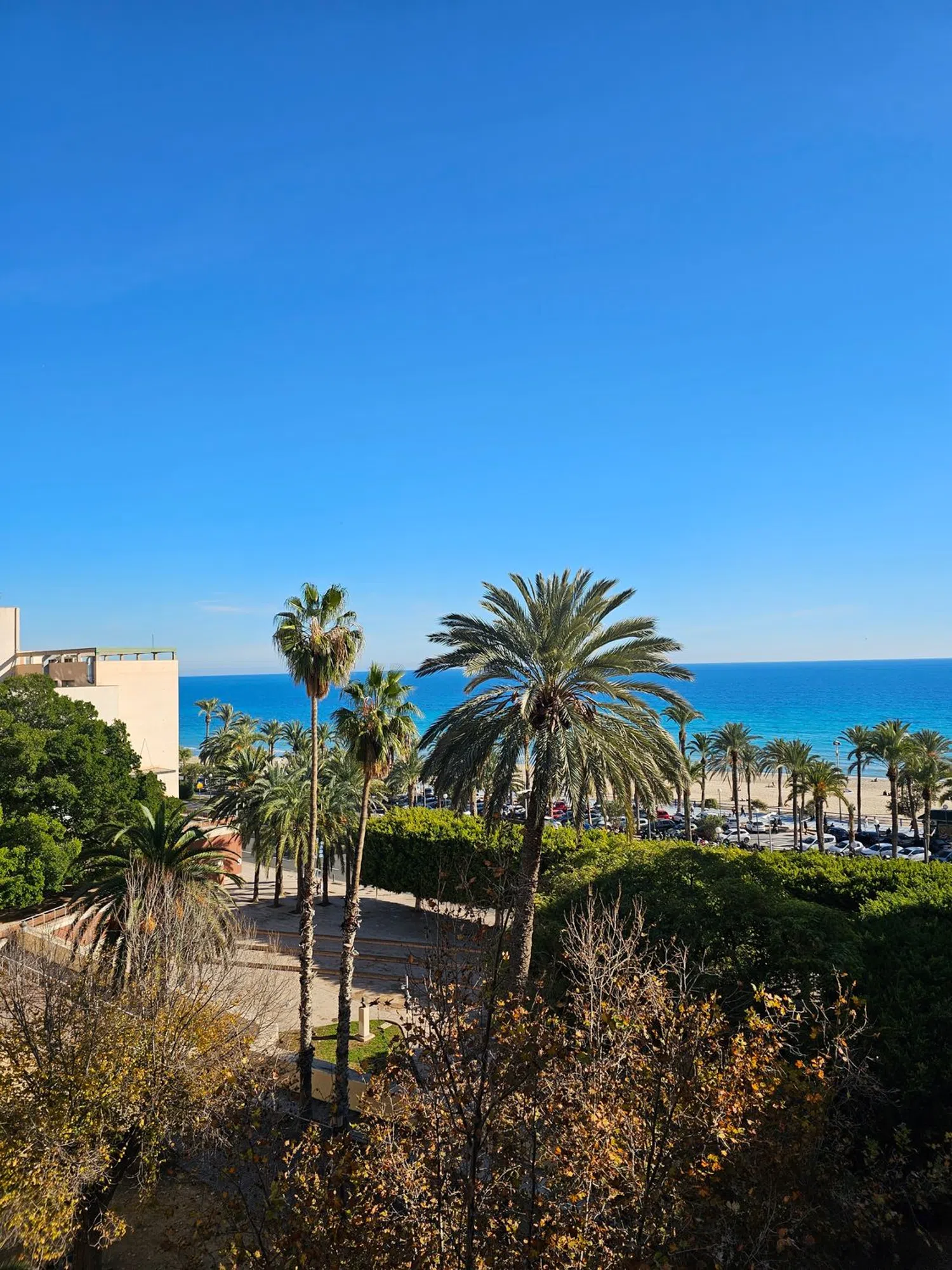 Piso en plaza Paseíto Ramiro, 3 - Foto 1