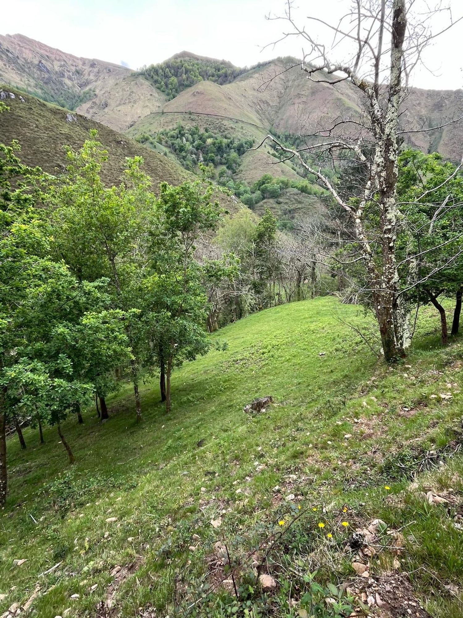 Finca rústica en El pedroso s/n - Foto 18
