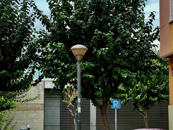 Piso en Calle Alonso de Ojeda, 12, La Flota - Foto 20