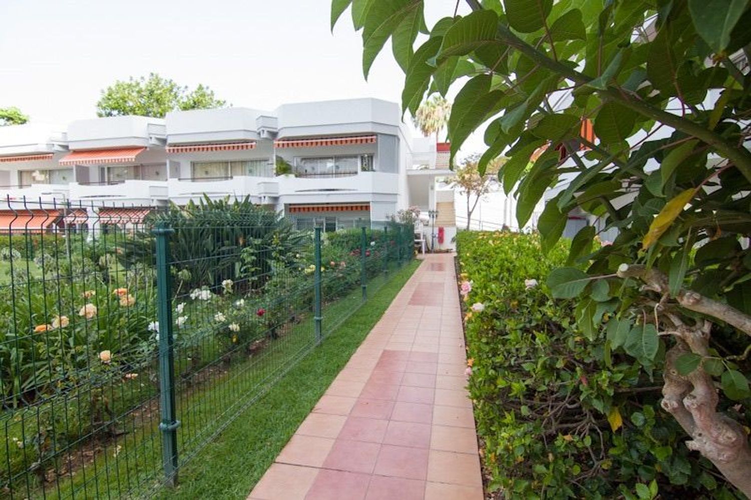 Estudio en Distrito Botánico - Foto 2