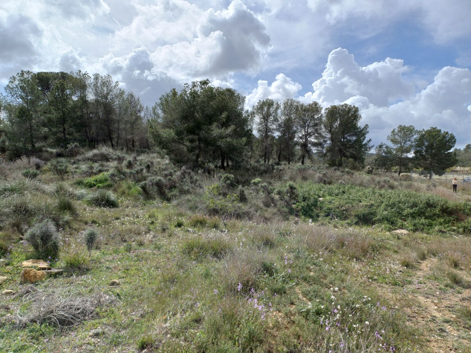 Casa independiente en Sierra de la Pila, 3 - Foto 16
