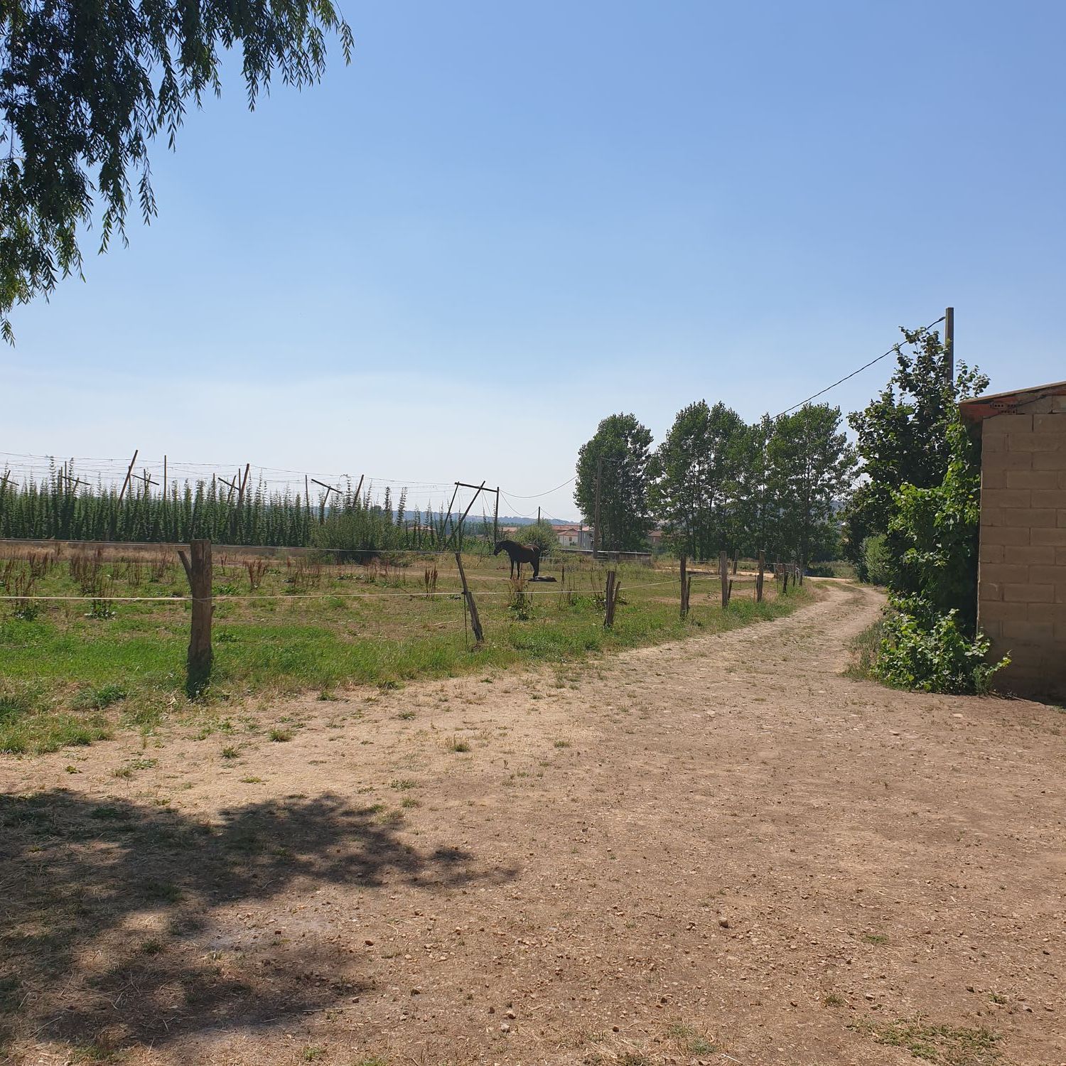 Finca rústica en Calle El Molino, 1 - Foto 3