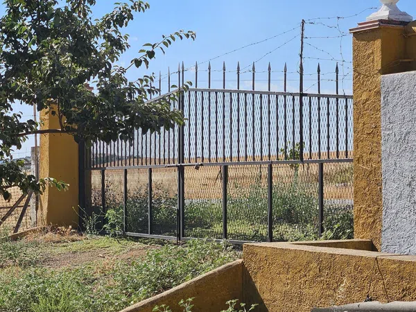 Finca rústica en Pilar de Cordoba s/n - Foto 37