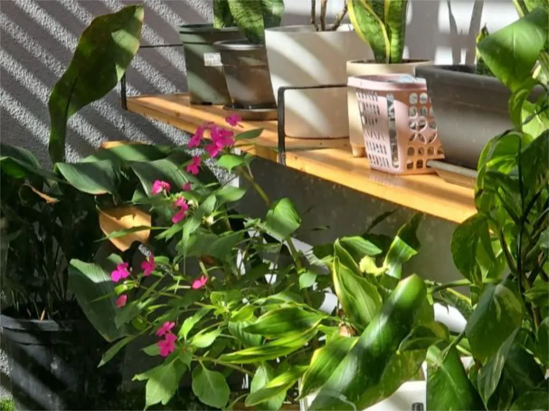 Casa adosada en  Calle Francisco de La Torre 31 - Foto 51