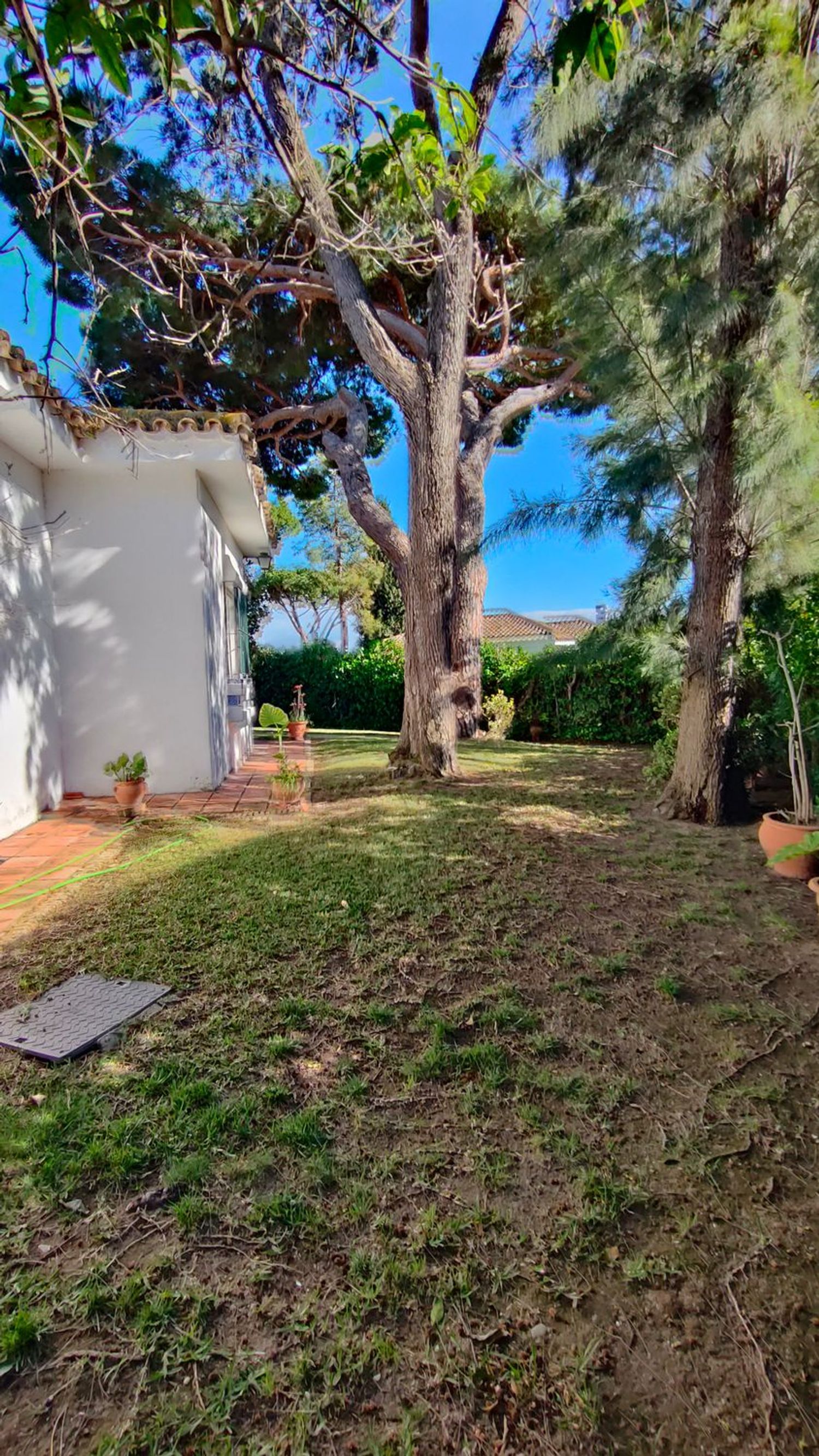 Casa o chalet independiente en Calle Abeto, 18, Vistahermosa - Foto 17