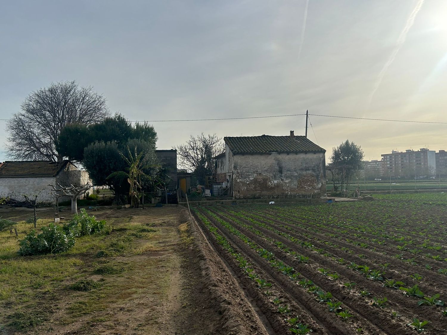 Finca rústica en Partida Masquefa, 78 - Foto 4