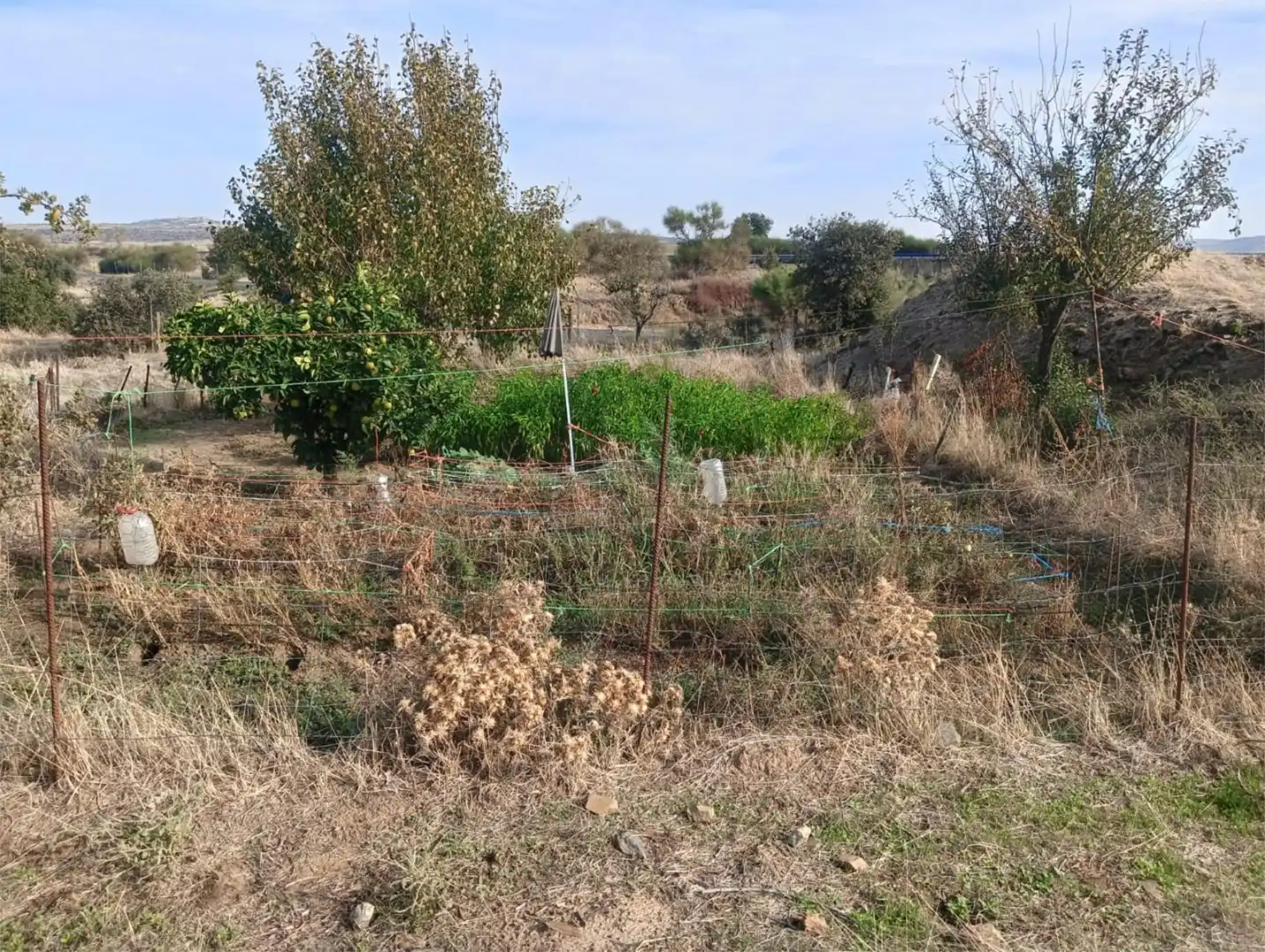 Finca rústica en  Avenida de Extremadura 11 - Foto 22