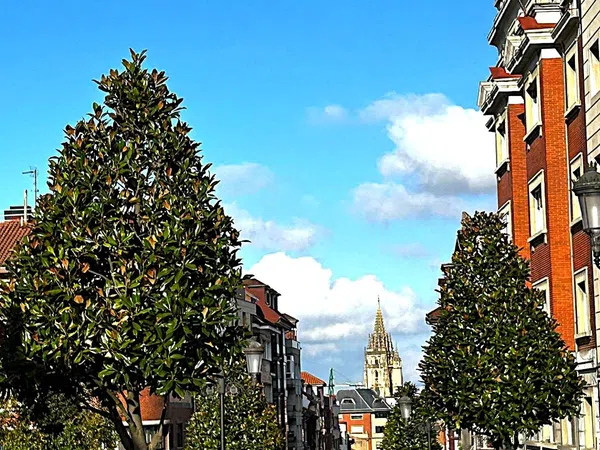 Piso en Barrio Auditorio-Seminario-Parque de Invierno - Foto 1
