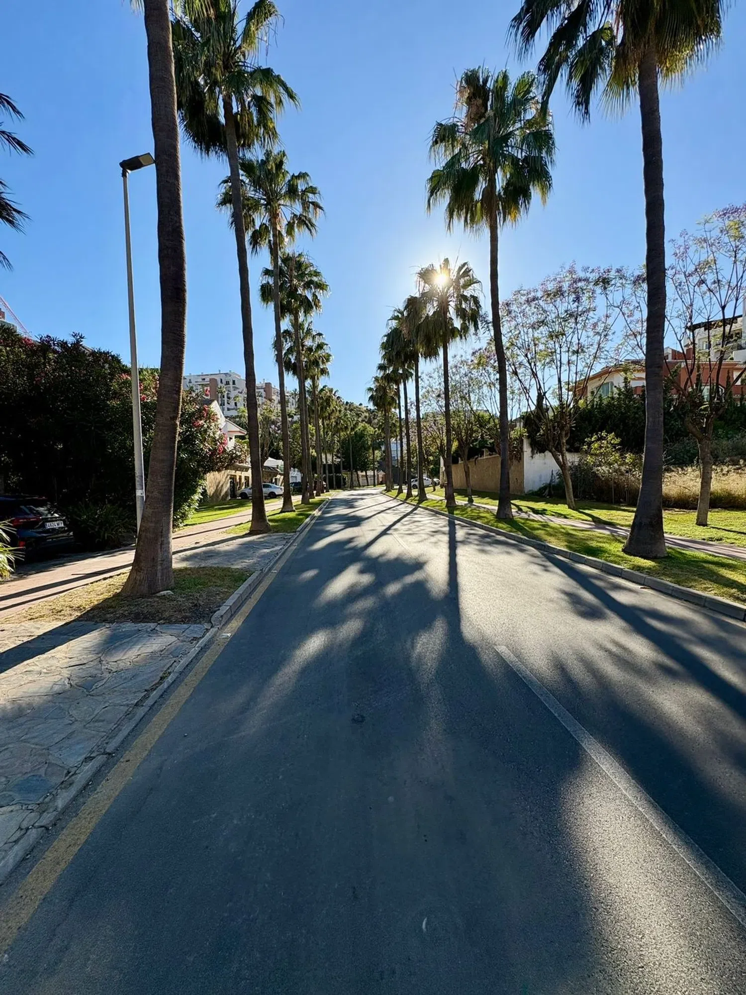 Piso en calle Camelia, 1 b - Foto 15