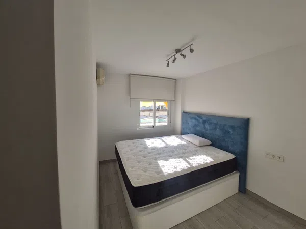 Piso en Avenida Oscar Espla, 23 - Foto 4