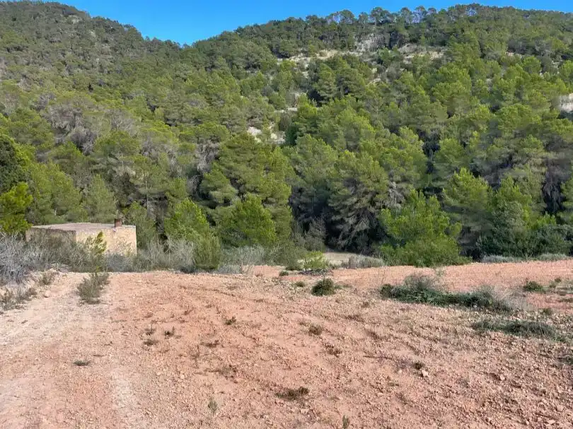 Finca rústica en  Diseminado Ses Paisses 248 - Foto 27