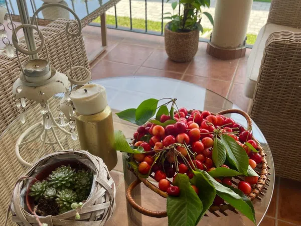 Chalet adosado en Ribera Baja - Foto 7