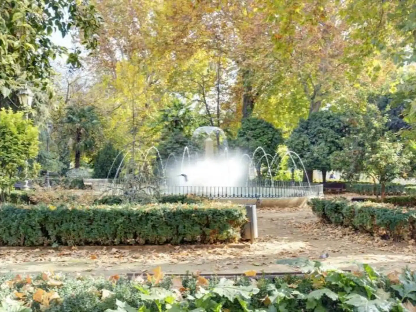 Piso en  Paseo de los Basilios 6 - Foto 2