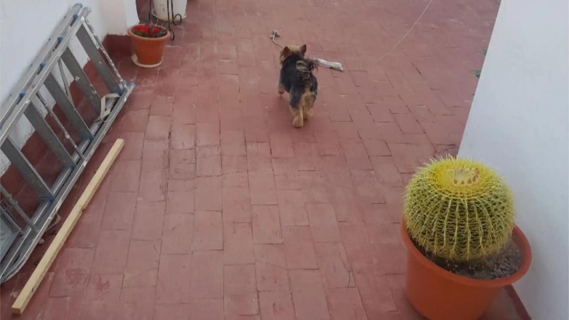 Piso en  Avenida de Juan Carlos I 20 - Foto 3