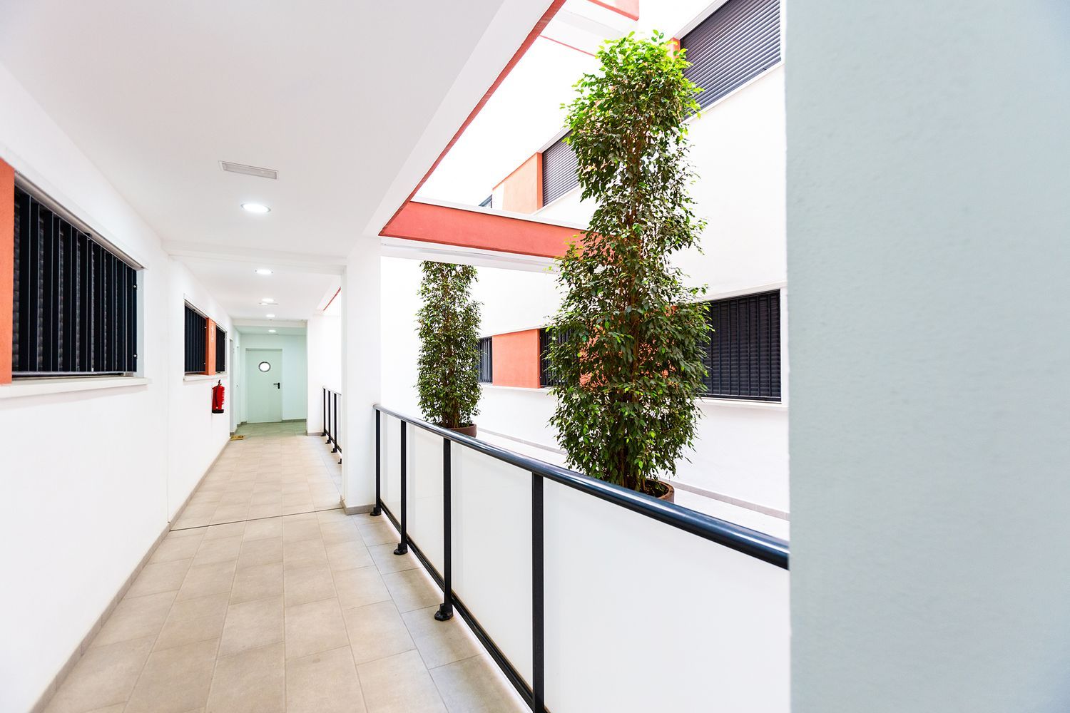 Piso en Pilar Lorengar, 16 - Foto 15