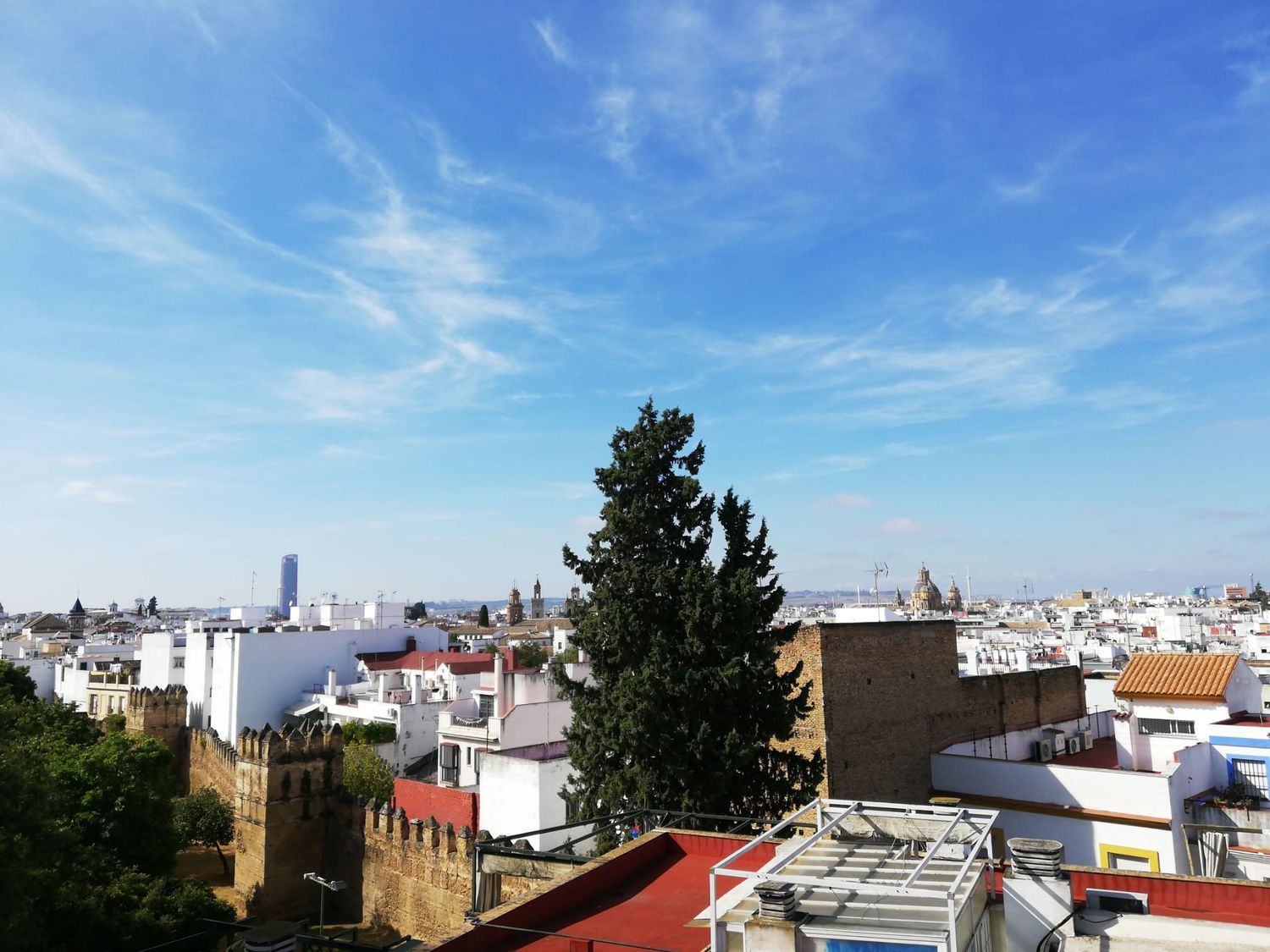 Piso en Barrio Puerta Carmona-Puerta Osario-Amador de los Ríos - Foto 4