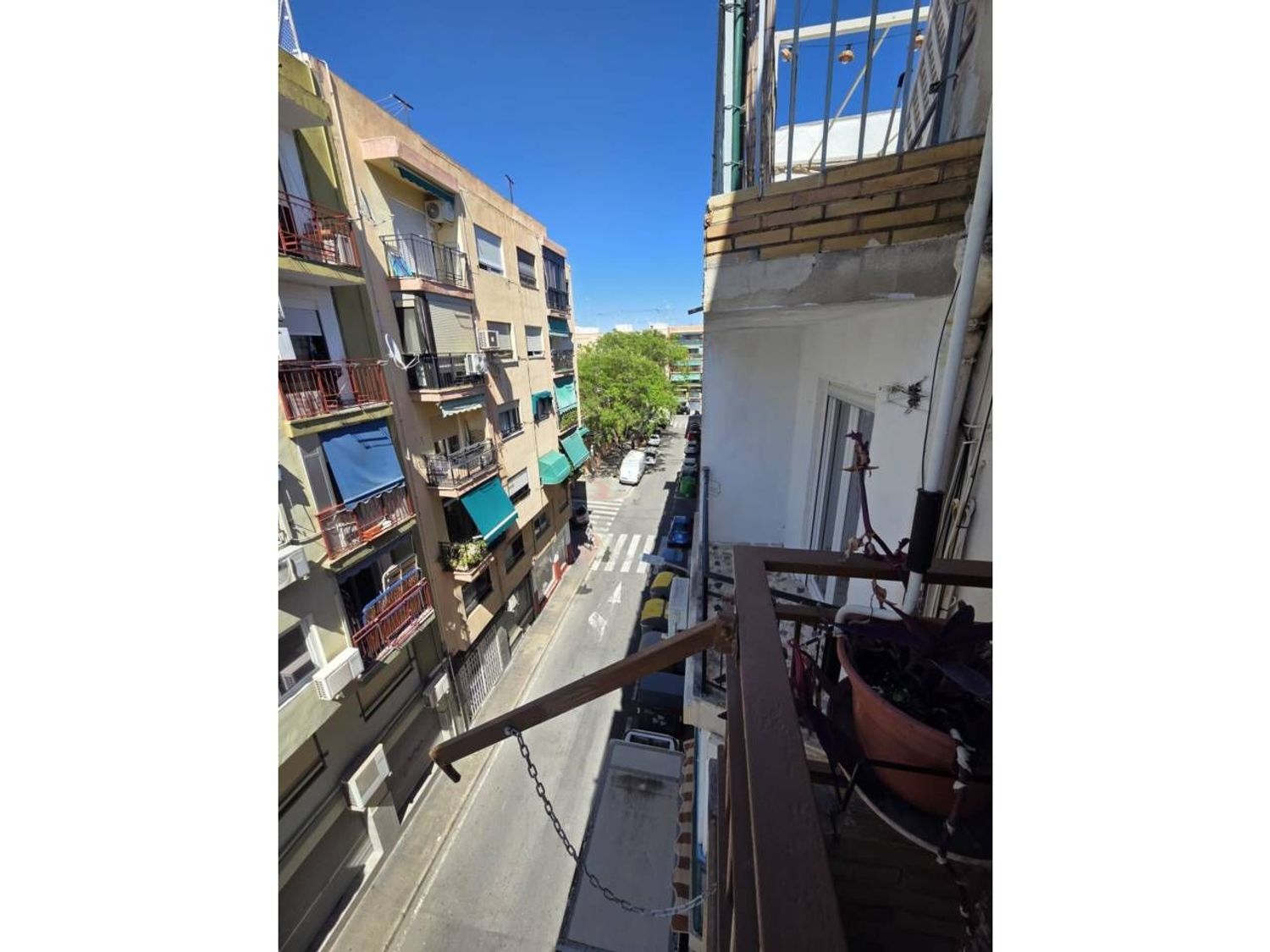 Piso en Calle Pascual de la Mata, Carolinas Altas - Foto 19